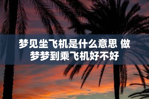 梦见坐飞机是什么意思 做梦梦到乘飞机好不好
