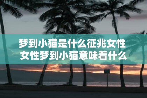 梦到小猫是什么征兆女性 女性梦到小猫意味着什么