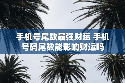 手机号尾数最强财运 手机号码尾数能影响财运吗