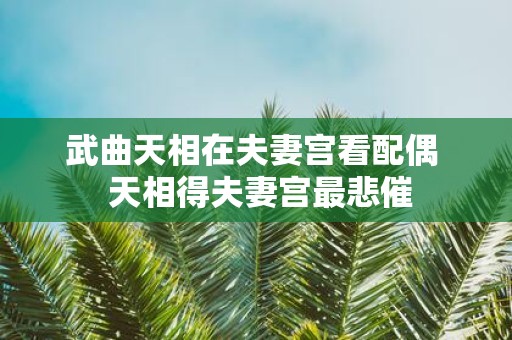 武曲天相在夫妻宫看配偶 天相得夫妻宫最悲催
