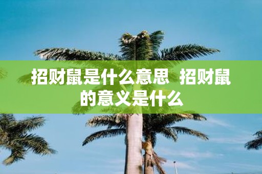 招财鼠是什么意思 招财鼠的意义是什么