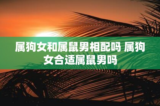 属狗女和属鼠男相配吗 属狗女合适属鼠男吗