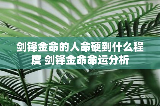 剑锋金命的人命硬到什么程度 剑锋金命命运分析