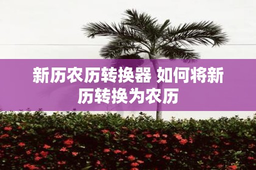 新历农历转换器 如何将新历转换为农历