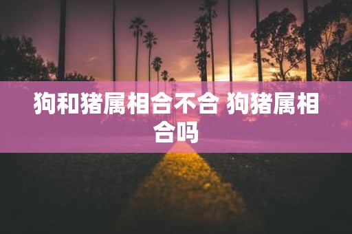 狗和猪属相合不合 狗猪属相合吗