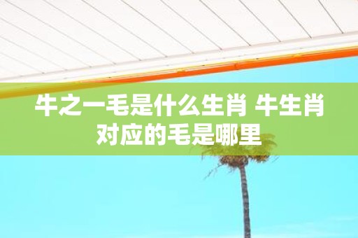 牛之一毛是什么生肖 牛生肖对应的毛是哪里