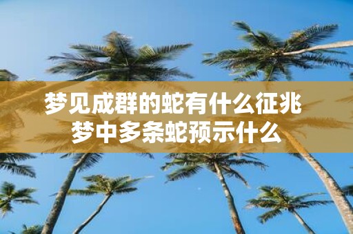 梦见成群的蛇有什么征兆 梦中多条蛇预示什么