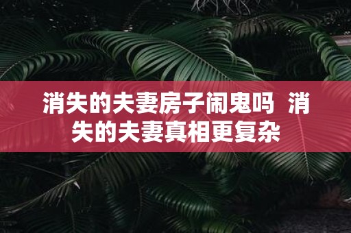 消失的夫妻房子闹鬼吗 消失的夫妻真相更复杂