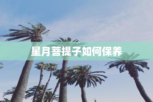 星月菩提子如何保养