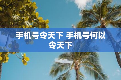 手机号令天下 手机号何以令天下