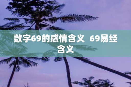 数字69的感情含义 69易经含义