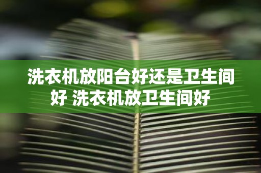 洗衣机放阳台好还是卫生间好 洗衣机放卫生间好