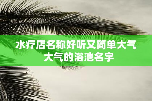 水疗店名称好听又简单大气 大气的浴池名字