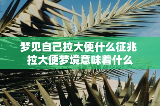 梦见自己拉大便什么征兆 拉大便梦境意味着什么