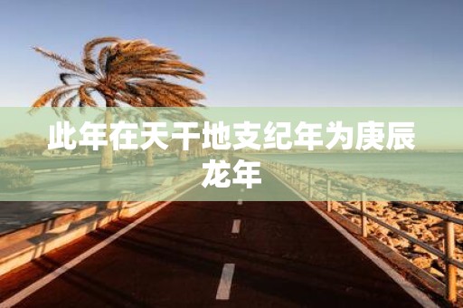 此年在天干地支纪年为庚辰蛇年
