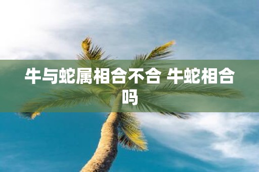 牛与蛇属相合不合 牛蛇相合吗