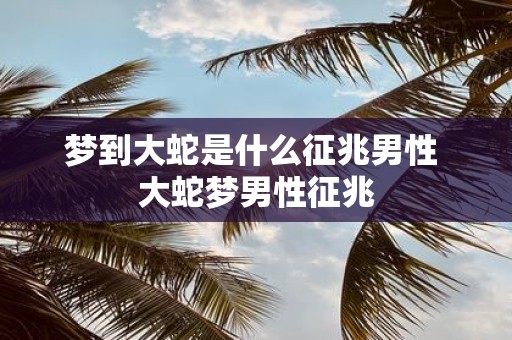 梦到大蛇是什么征兆男性 大蛇梦男性征兆