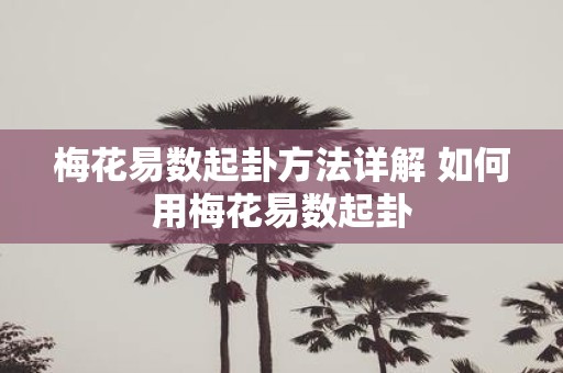 梅花易数起卦方法详解 如何用梅花易数起卦