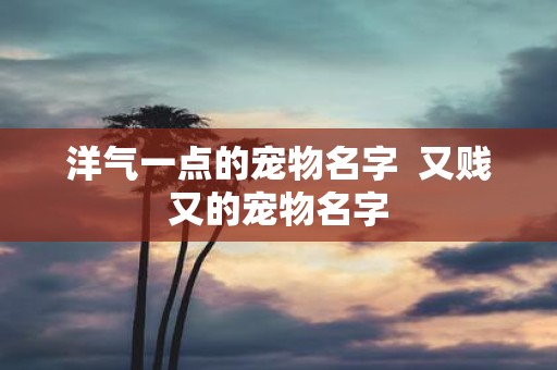 洋气一点的宠物名字 又贱又的宠物名字