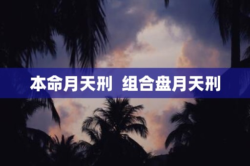 本命月天刑 组合盘月天刑
