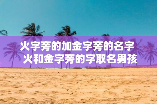 火字旁的加金字旁的名字 火和金字旁的字取名男孩
