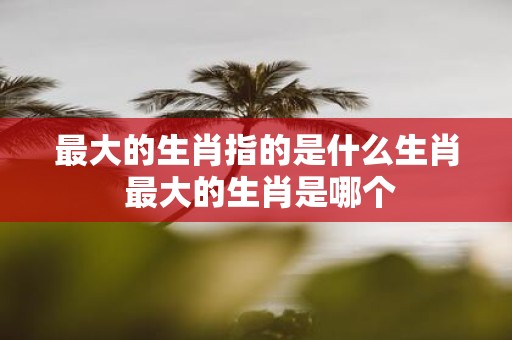 最大的生肖指的是什么生肖 最大的生肖是哪个
