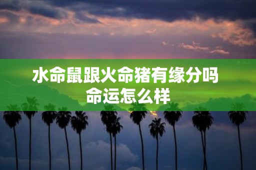 水命鼠跟火命猪有缘分吗 命运怎么样