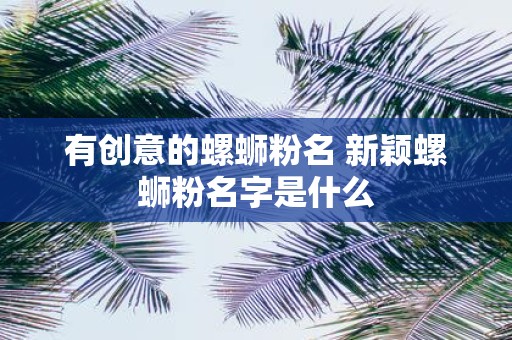 有创意的螺蛳粉名 新颖螺蛳粉名字是什么