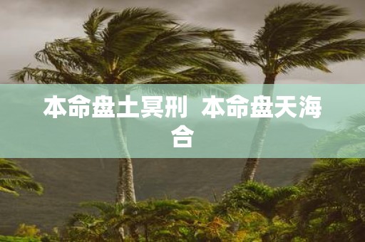 本命盘土冥刑 本命盘天海合