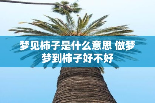 梦见柿子是什么意思 做梦梦到柿子好不好