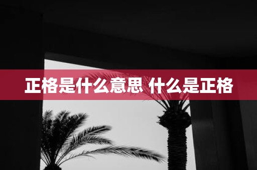 正格是什么意思 什么是正格