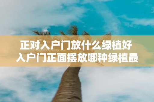 正对入户门放什么绿植好 入户门正面摆放哪种绿植最好