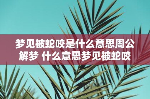 梦见被蛇咬是什么意思周公解梦 什么意思梦见被蛇咬