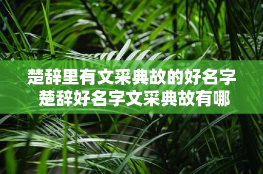 楚辞里有文采典故的好名字 楚辞好名字文采典故有哪些