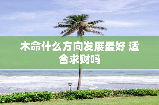木命什么方向发展最好 适合求财吗