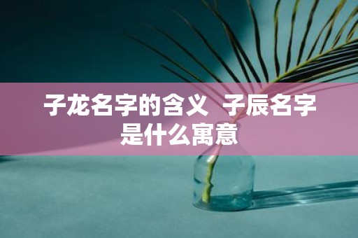 子龙名字的含义 子辰名字是什么寓意