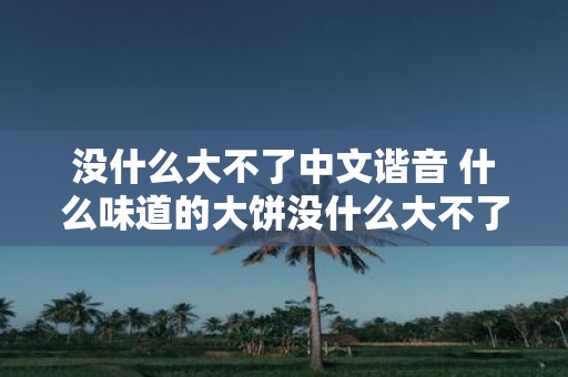 没什么大不了中文谐音 什么味道的大饼没什么大不了