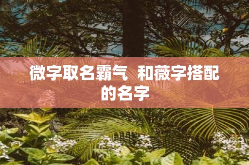 微字取名霸气 和薇字搭配的名字