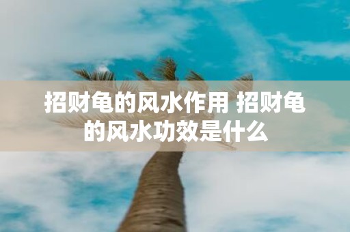 招财龟的风水作用 招财龟的风水功效是什么