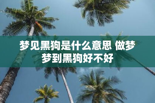 梦见黑狗是什么意思 做梦梦到黑狗好不好