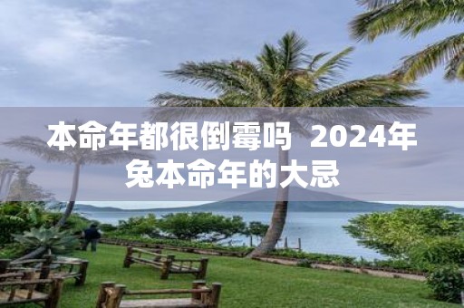 本命年都很倒霉吗 2025年兔本命年的大忌