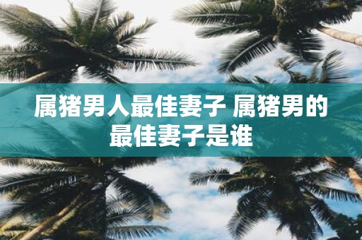 属猪男人最佳妻子 属猪男的最佳妻子是谁