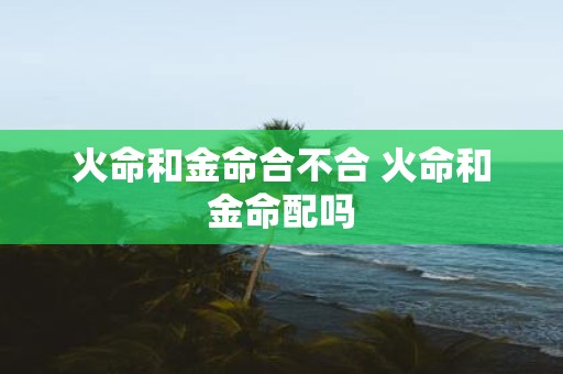 火命和金命合不合 火命和金命配吗