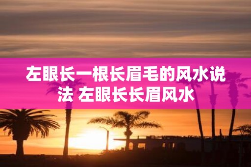 左眼长一根长眉毛的风水说法 左眼长长眉风水