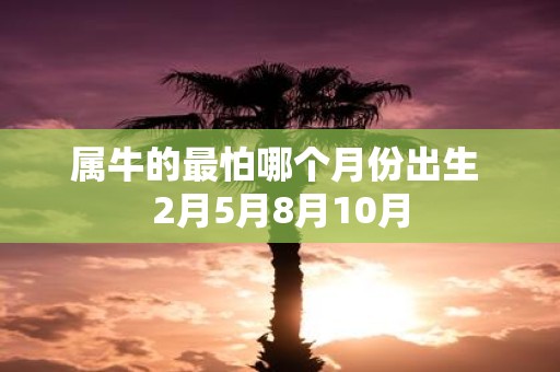 属牛的最怕哪个月份出生 2月5月8月10月