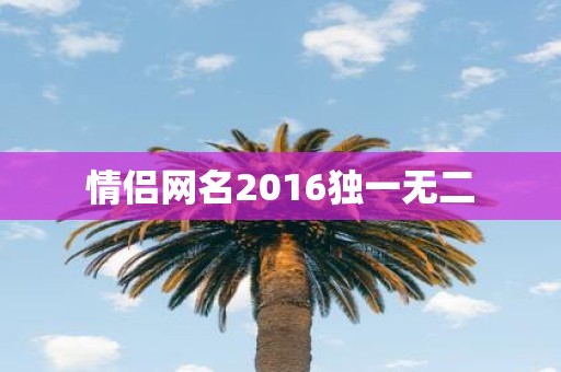 情侣网名2016独一无二