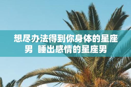 想尽办法得到你身体的星座男 睡出感情的星座男