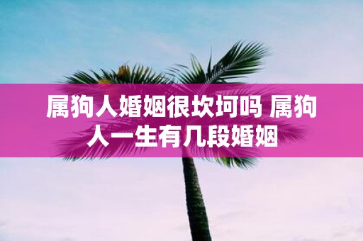 属狗人婚姻很坎坷吗 属狗人一生有几段婚姻