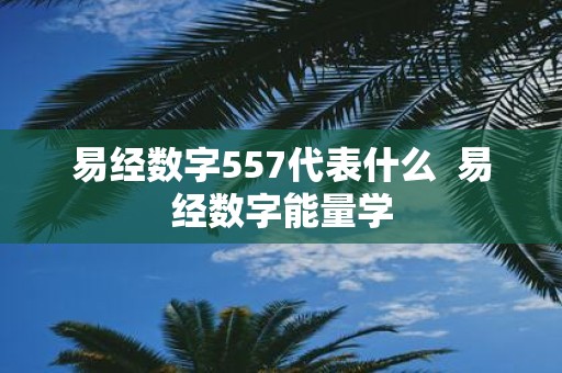 易经数字557代表什么 易经数字能量学