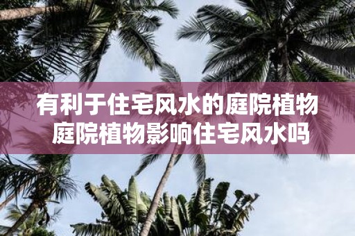 有利于住宅风水的庭院植物 庭院植物影响住宅风水吗